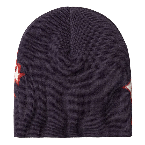 Bonnet carhartt violet vue de dos